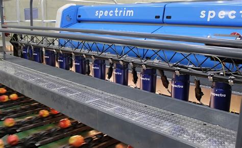 compac sorting equipment|compac sorting equipment nz.
